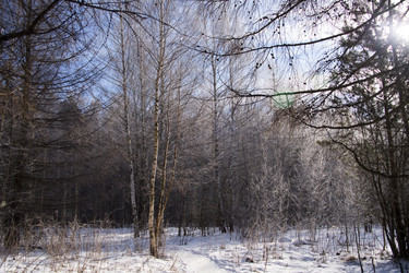 Similar image 22274113