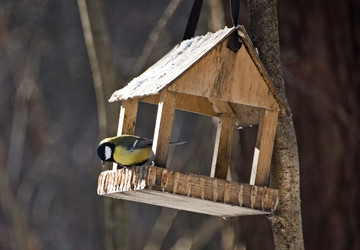 Similar image 22274114