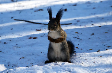 Similar image 22274115