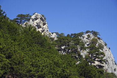 Similar image 22274139