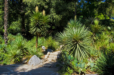 Similar image 22274140