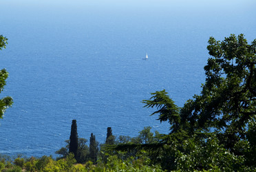 Similar image 22274143