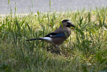 Similar image 22274145