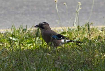 Similar image 22274146