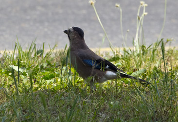 Similar image 22274147