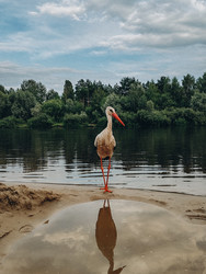 Similar image 22273916