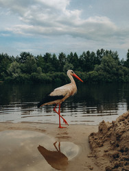 Similar image 22273917