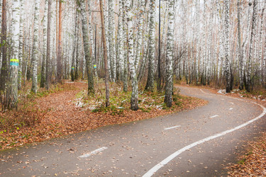 Similar image 22273856