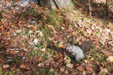 Similar image 22273859