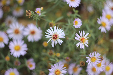 Similar image 22273120