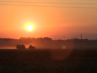 Similar image 22273124