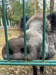 Similar image 22273435