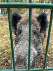 Similar image 22273436