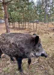 Similar image 22273437