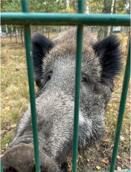 Similar image 22273438