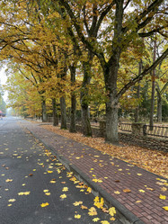 Similar image 22273441