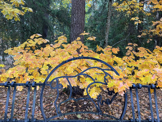 Similar image 22273442