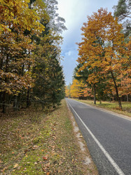 Similar image 22273443