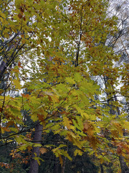 Similar image 22273445