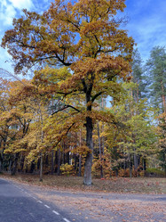 Similar image 22273256