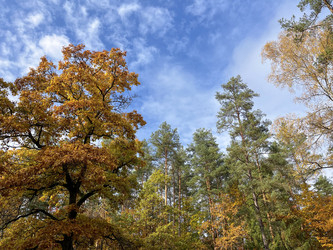 Similar image 22273257