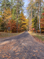 Similar image 22273258