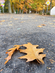 Similar image 22273260