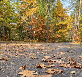 Similar image 22273261