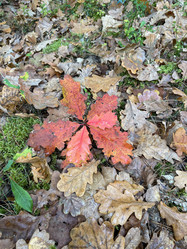 Similar image 22273446