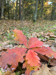 Similar image 22273451