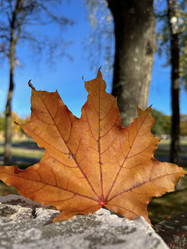 Similar image 22273452