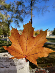 Similar image 22273453