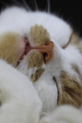 Similar image 22283762