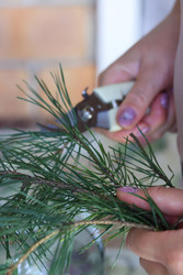 Similar image 22283763