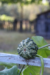 Similar image 22283769