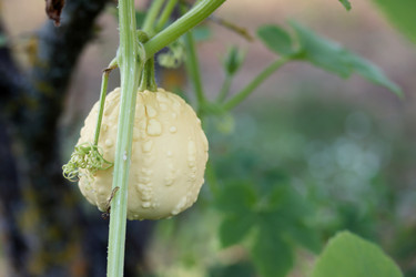 Similar image 22283771