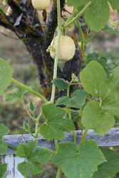 Similar image 22283772