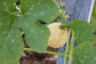 Similar image 22283773