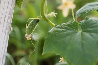 Similar image 22283774