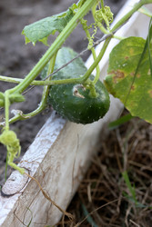 Similar image 22283775