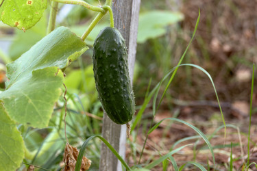 Similar image 22283776