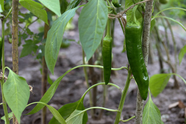 Similar image 22283777