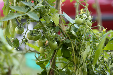 Similar image 22283778