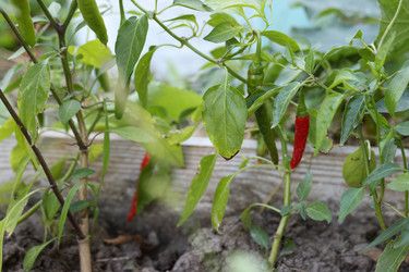 Similar image 22283779