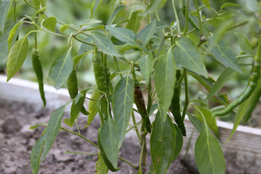 Similar image 22283780