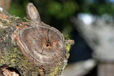 Similar image 22283789