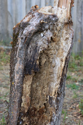 Similar image 22283790