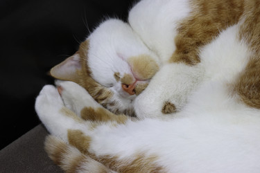 Similar image 22283791