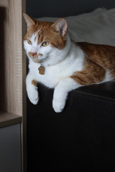 Similar image 22283793