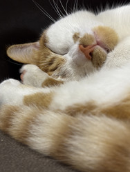 Similar image 22283794